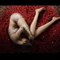 Fallen Feathers