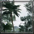 No Quarter Near Hue