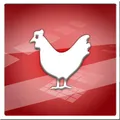 Cute Chicken
