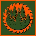 Master forester