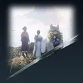 Life After the End
