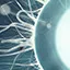 Genetic Manipulation